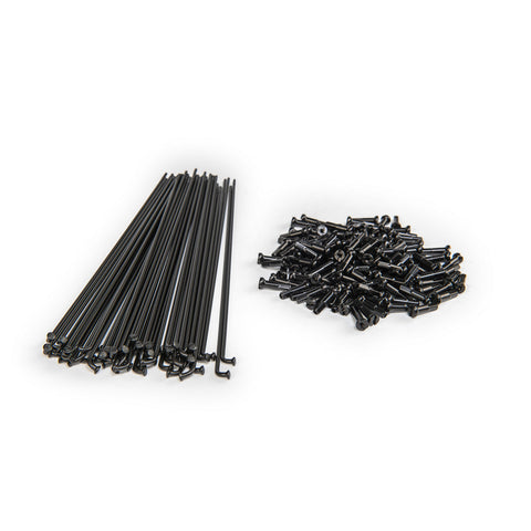 PG (Plain Gauge) Spokes